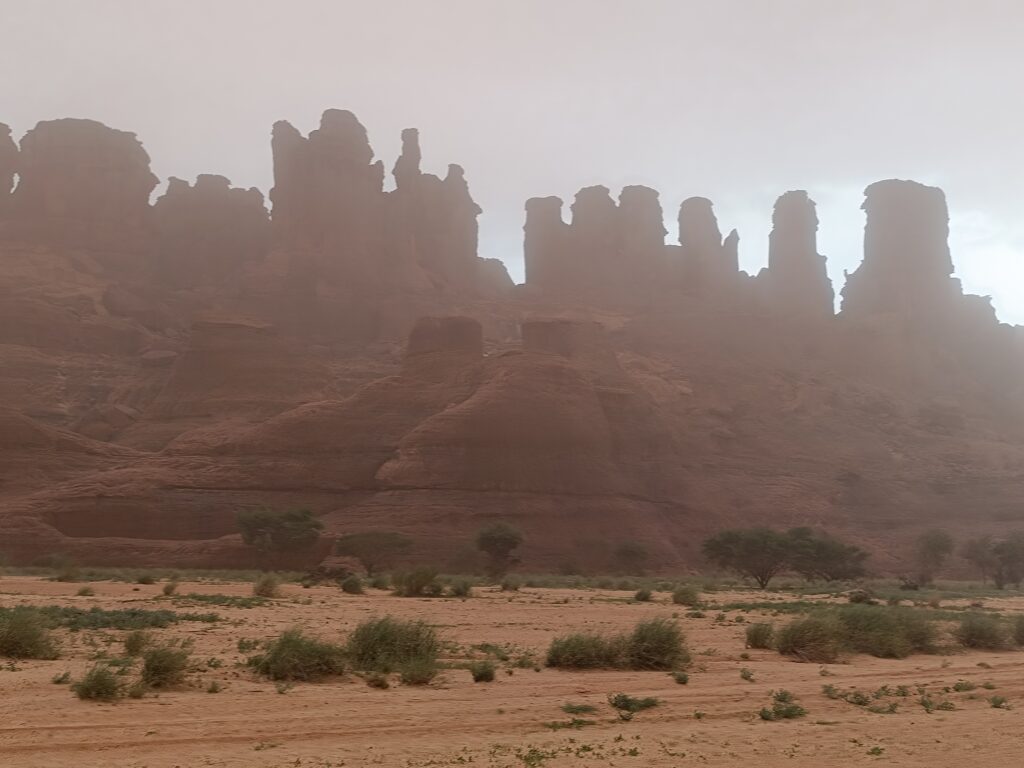 IMG_20230903_162027_1